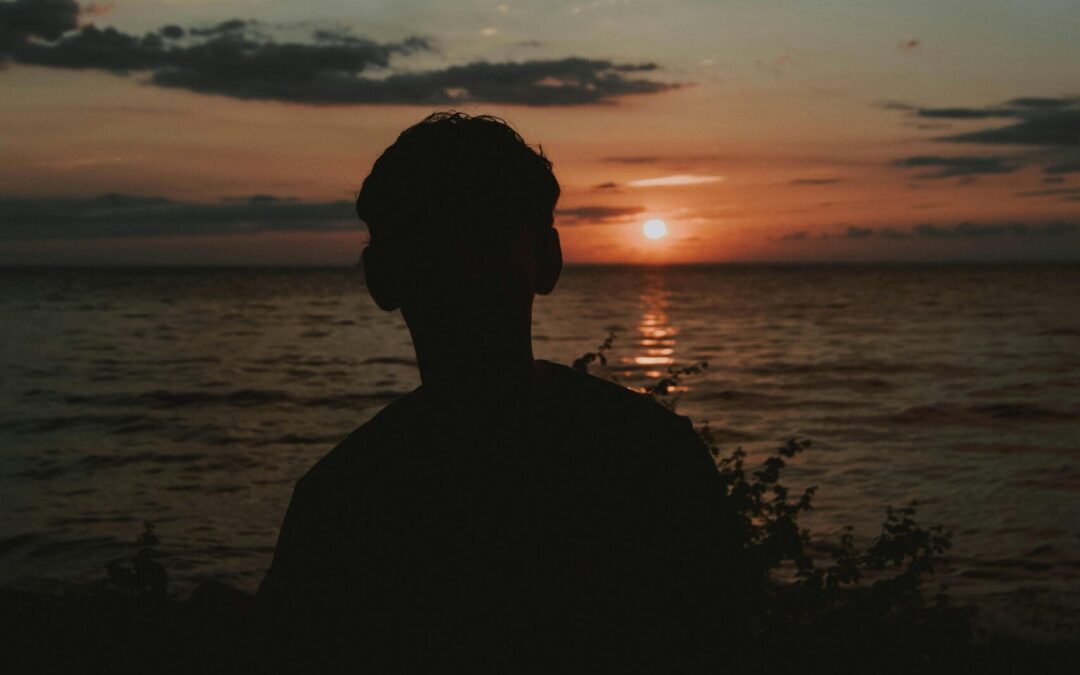 A boy is seen in silhouette against a sunset